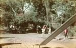 <span class="caption-caption">Lone Pine Sanctuary</span>, 1960. <br />Slide, collection of <span class="caption-contributor">Bruce Cunningham</span>.