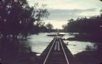 <span class="caption-caption">Dobbyn bridge, now gone, with the river in flood, Cloncurry Shire</span>, 1960. <br />Slide, collection of <span class="caption-contributor">Edward Robertson</span>.