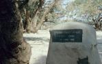<span class="caption-caption">Burke's monument, Bulloo Shire</span>, 1991. <br />Slide, collection of <span class="caption-contributor">Audrey Johnston</span>.