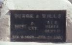 <span class="caption-caption">Burke & Wills dig tree plaque</span>, 1991. <br />Slide, collection of <span class="caption-contributor">Audrey Johnston</span>.