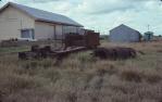 <span class="caption-caption">Tramway goods sheds and relics, Aramac</span>, 1975. <br />Slide, collection of <span class="caption-contributor">Andrew Plunkett</span>.