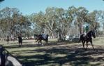 <span class="caption-caption">Picnic races at Burrandowan, near Kingaroy</span>, 1979. <br />Slide, collection of <span class="caption-contributor">Allan Webb</span>.