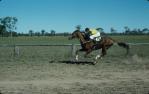 <span class="caption-caption">Vain Goddess wins at picnic races at Burrandowan, near Kingaroy</span>, 1979. <br />Slide, collection of <span class="caption-contributor">Allan Webb</span>.