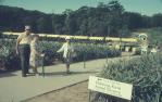 <span class="caption-caption">Big Pineapple, Woombye</span>, 1972. <br />Slide, collection of <span class="caption-contributor">Robin Barron</span>.