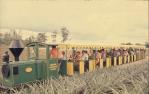 <span class="caption-caption">Tourist train, Big Pineapple, Woombye</span>, 1972. <br />Slide, collection of <span class="caption-contributor">Robin Barron</span>.