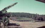<span class="caption-caption">Big Pineapple, Woombye</span>, 1972. <br />Slide, collection of <span class="caption-contributor">Robin Barron</span>.