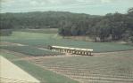 <span class="caption-caption">Tourist train, Big Pineapple, Woombye</span>, 1972. <br />Slide, collection of <span class="caption-contributor">Robin Barron</span>.