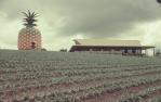 <span class="caption-caption">Big Pineapple, Woombye</span>, 1972. <br />Slide, collection of <span class="caption-contributor">Robin Barron</span>.