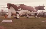 <span class="caption-caption">Big Cow, Nambour</span>, 1972. <br />Slide, collection of <span class="caption-contributor">Robin Barron</span>.