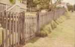 <span class="caption-caption">Fence, 32 Thorne Street, Windsor</span>, 1978. <br />Slide, collection of <span class="caption-contributor">Robin Barron</span>.