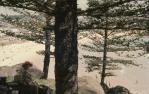<span class="caption-caption">View from hill, Coolangatta</span>, 1978. <br />Slide, collection of <span class="caption-contributor">Robin Barron</span>.