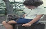 <span class="caption-caption">Boy with monkey, Coolangatta</span>, 1978. <br />Slide, collection of <span class="caption-contributor">Robin Barron</span>.
