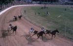 <span class="caption-caption">Trotting race, Brisbane exhibition, Bowen Hills</span>, 1970. <br />Slide, collection of <span class="caption-contributor">Robin Barron</span>.
