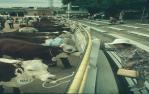 <span class="caption-caption">Grooming before judging, Brisbane exhibition, Bowen Hills</span>, 1967. <br />Slide, collection of <span class="caption-contributor">Robin Barron</span>.