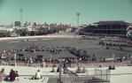 <span class="caption-caption">Cattle judging, main arena, Brisbane exhibition, Bowen Hills</span>, c1980s. <br />Slide, collection of <span class="caption-contributor">Robin Barron</span>.