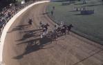 <span class="caption-caption">Trotting race, main arena, Brisbane exhibition, Bowen Hills</span>, 1980. <br />Slide, collection of <span class="caption-contributor">Robin Barron</span>.