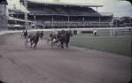<span class="caption-caption">Trotting race, Brisbane exhibition, Bowen Hills</span>, 1980. <br />Slide, collection of <span class="caption-contributor">Robin Barron</span>.