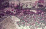<span class="caption-caption">Floral display, Brisbane exhibition, Bowen Hills</span>, 1973. <br />Slide, collection of <span class="caption-contributor">Robin Barron</span>.