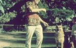 <span class="caption-caption">Lone Pine Sanctuary, Fig Tree Pocket</span>, 1960. <br />Slide, collection of <span class="caption-contributor">Robin Barron</span>.
