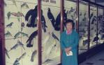 <span class="caption-caption">Exhibit at the old Museum, Bowen Hills</span>, c1970s. <br />Slide, collection of <span class="caption-contributor">Robin Barron</span>.
