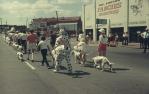 <span class="caption-caption">Tail end of Warana parade, on Barry Parade, Fortitude Valley</span>, c1970. <br />Slide, collection of <span class="caption-contributor">Robin Barron</span>.