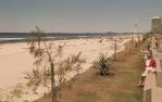 <span class="caption-caption">Foreshore revegetation area, Surfers Paradise</span>, c1976. <br />Slide, collection of <span class="caption-contributor">Robin Barron</span>.