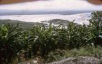 <span class="caption-caption">Noosa from lookout</span>, 1972. <br />Slide, collection of <span class="caption-contributor">Robin Barron</span>.