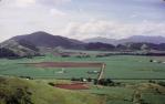 <span class="caption-caption">Sugar cane, Atherton Shire</span>, 1966. <br />Slide, collection of <span class="caption-contributor">Robin Barron</span>.
