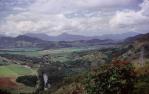 <span class="caption-caption">View of sugar cane from railway, Atherton Shire</span>, 1966. <br />Slide, collection of <span class="caption-contributor">Robin Barron</span>.
