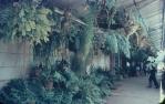 <span class="caption-caption">Kuranda railway station</span>, 1966. <br />Slide, collection of <span class="caption-contributor">Robin Barron</span>.