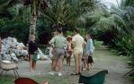<span class="caption-caption">Coral collection, South Molle Island</span>, 1966. <br />Slide, collection of <span class="caption-contributor">Robin Barron</span>.