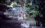 <span class="caption-caption">Coral glass house, South Molle Island</span>, 1966. <br />Slide, collection of <span class="caption-contributor">Robin Barron</span>.