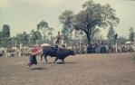 <span class="caption-caption">Ipswich rodeo</span>, c1970s. <br />Slide, collection of <span class="caption-contributor">Robin Barron</span>.