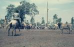 <span class="caption-caption">Ipswich rodeo</span>, c1970s. <br />Slide, collection of <span class="caption-contributor">Robin Barron</span>.