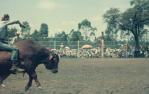 <span class="caption-caption">Ipswich rodeo</span>, c1970s. <br />Slide, collection of <span class="caption-contributor">Robin Barron</span>.