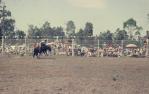 <span class="caption-caption">Ipswich rodeo</span>, c1970s. <br />Slide, collection of <span class="caption-contributor">Robin Barron</span>.