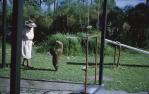 <span class="caption-caption">Sealpark, Buderim</span>, 1965. <br />Slide, collection of <span class="caption-contributor">Beris Gaal</span>.