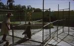 <span class="caption-caption">Sealpark, Buderim</span>, 1965. <br />Slide, collection of <span class="caption-contributor">Beris Gaal</span>.