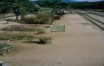 <span class="caption-caption">Railway station, Kuranda</span>, 1964. <br />Slide, collection of <span class="caption-contributor">Beris Gaal</span>.