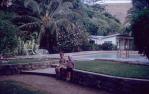 <span class="caption-caption">Lindeman Island pool, Whitsunday, Great Barrier Reef</span>, 1968. <br />Slide, collection of <span class="caption-contributor">Beris Gaal</span>.