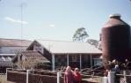 <span class="caption-caption">House of Bottles, Tewantin</span>, 1966. <br />Slide, collection of <span class="caption-contributor">Beris Gaal</span>.