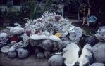 <span class="caption-caption">Dent Island coral display, Whitsunday, Great Barrier Reef</span>, 1968. <br />Slide, collection of <span class="caption-contributor">Beris Gaal</span>.