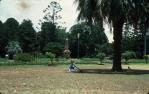 <span class="caption-caption">Botanical Gardens, Toowoomba</span>, 1976. <br />Slide, collection of <span class="caption-contributor">Betty Daly</span>.