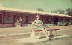 <span class="caption-caption">Oxley Motel, Oxley</span>, 1965. <br />Slide, collection of <span class="caption-contributor">Bernie Searle & Loretta Searle</span>.