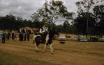 <span class="caption-caption">Rosedale school anniversary, Miriam Vale Shire</span>, 1950. <br />Slide, collection of <span class="caption-contributor">Bill Neubecker</span>.