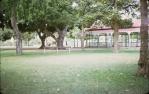 <span class="caption-caption">Lissner Park, Charters Towers</span>, 1971. <br />Slide, collection of <span class="caption-contributor">Beth Snewin</span>.