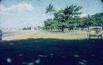 <span class="caption-caption">The Esplanade, Cairns</span>, c1950s. <br />Slide, collection of <span class="caption-contributor">Beth Snewin</span>.