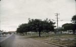 <span class="caption-caption">Park on the Bruce Highway, Ingham</span>, 1963. <br />Slide, collection of <span class="caption-contributor">Beth Snewin</span>.