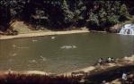 <span class="caption-caption">Swimming pool at Malanda Falls, Malanda</span>, 1970. <br />Slide, collection of <span class="caption-contributor">Beth Snewin</span>.