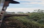 <span class="caption-caption">Tourist train Cairns to Kuranda</span>, 1997. <br />Slide, collection of <span class="caption-contributor">Cecilia Abbott</span>.